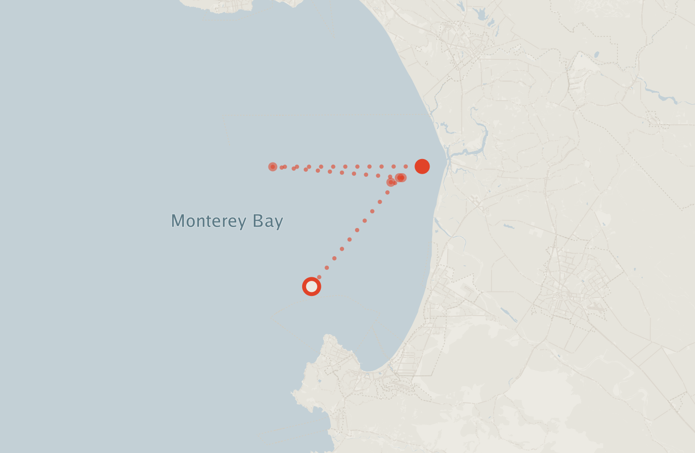 Activity map — real sighting points on an OpenStreetMap basemap