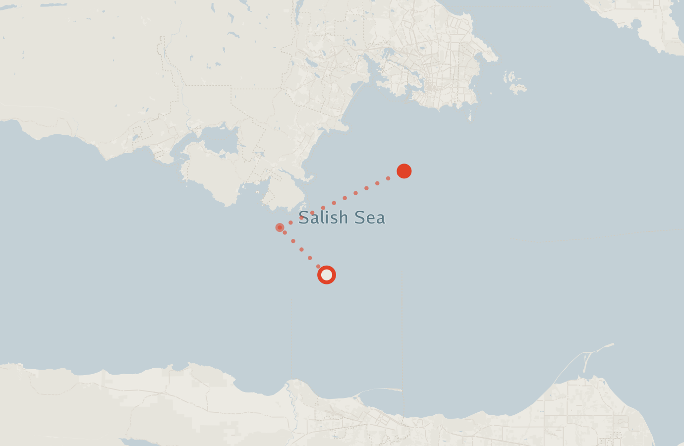 Activity map — real sighting points on an OpenStreetMap basemap