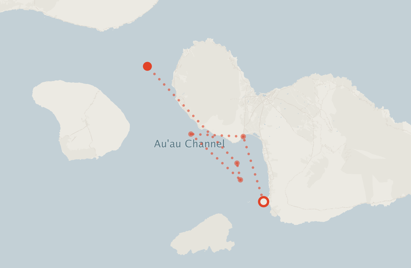 Activity map — real sighting points on an OpenStreetMap basemap