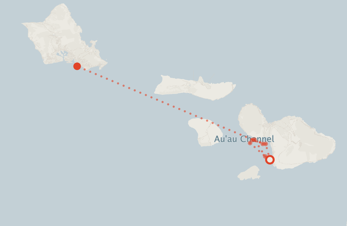 Activity map — real sighting points on an OpenStreetMap basemap