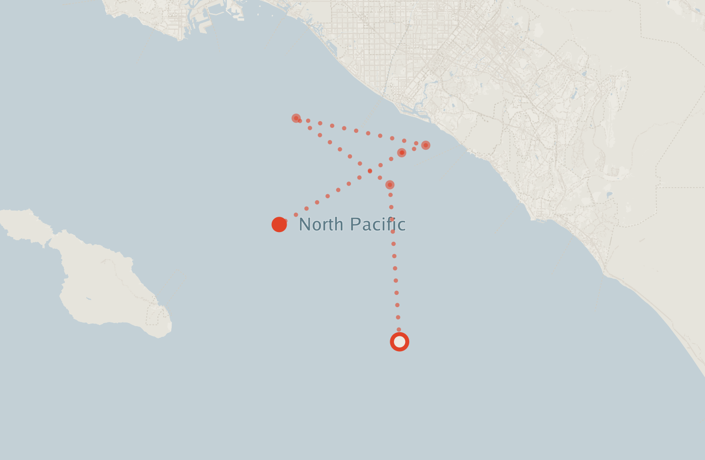Activity map — real sighting points on an OpenStreetMap basemap