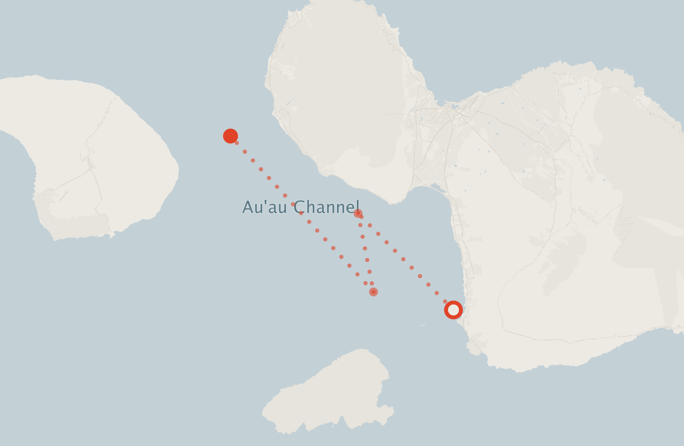Activity map — real sighting points on an OpenStreetMap basemap