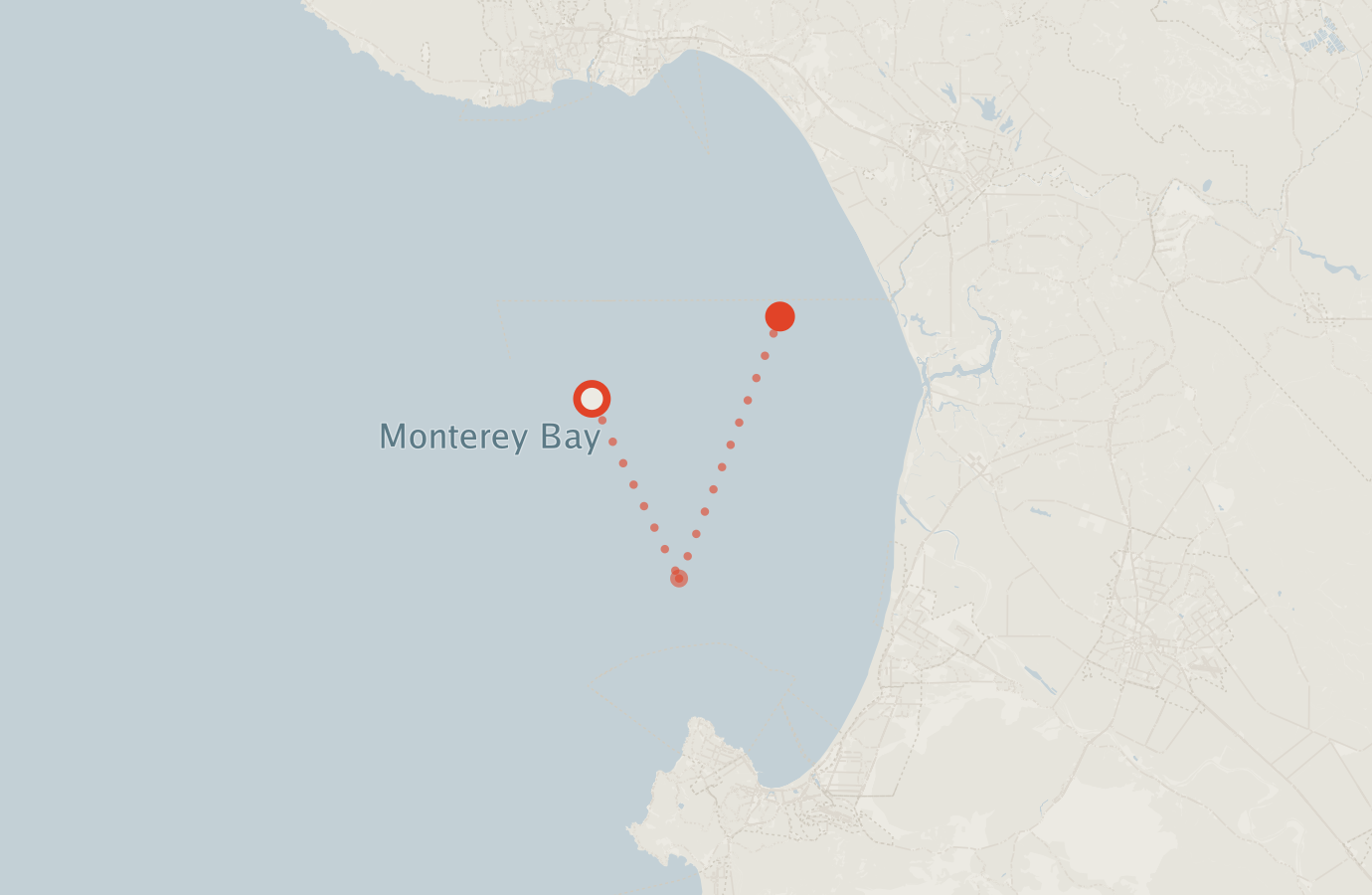 Activity map — real sighting points on an OpenStreetMap basemap