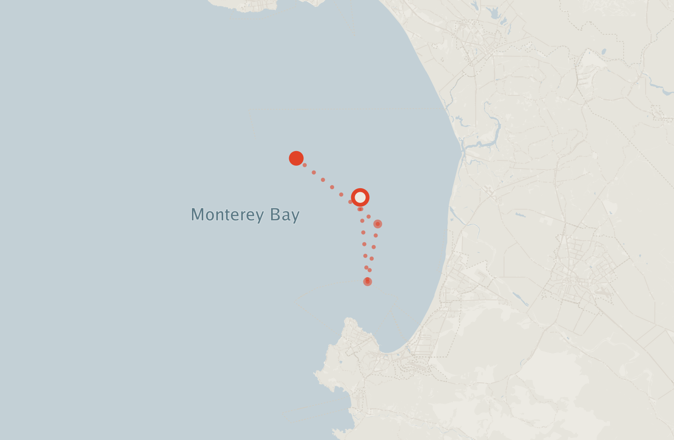 Activity map — real sighting points on an OpenStreetMap basemap