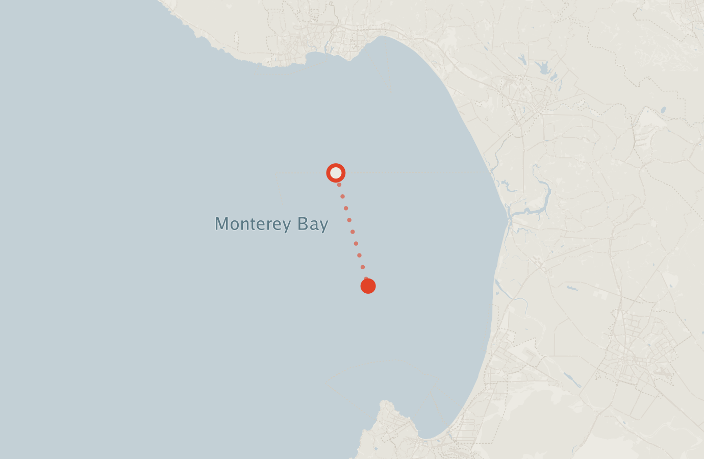 Activity map — real sighting points on an OpenStreetMap basemap