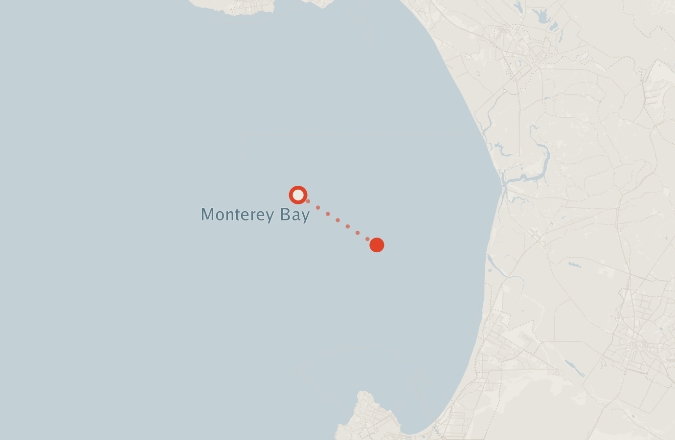 Activity map — real sighting points on an OpenStreetMap basemap