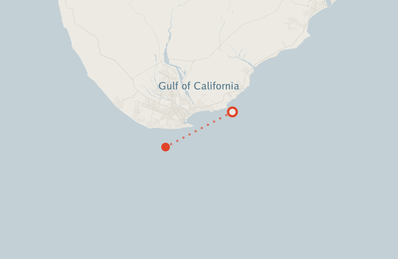 Activity map — real sighting points on an OpenStreetMap basemap