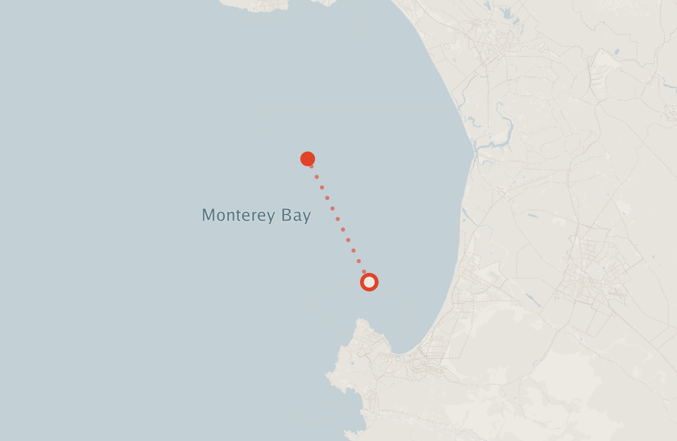 Activity map — real sighting points on an OpenStreetMap basemap