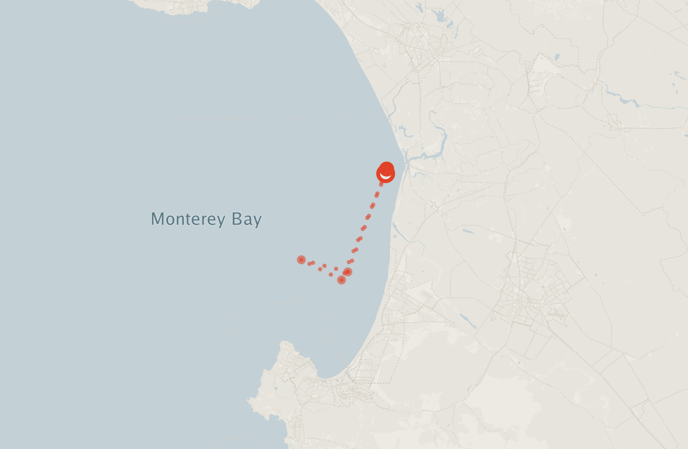 Activity map — real sighting points on an OpenStreetMap basemap