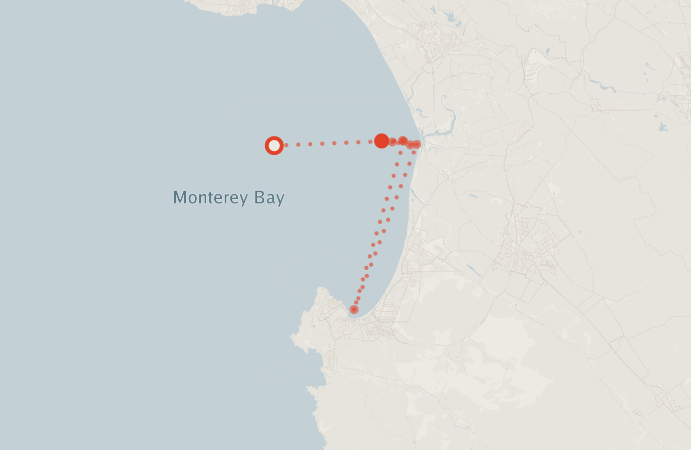 Activity map — real sighting points on an OpenStreetMap basemap