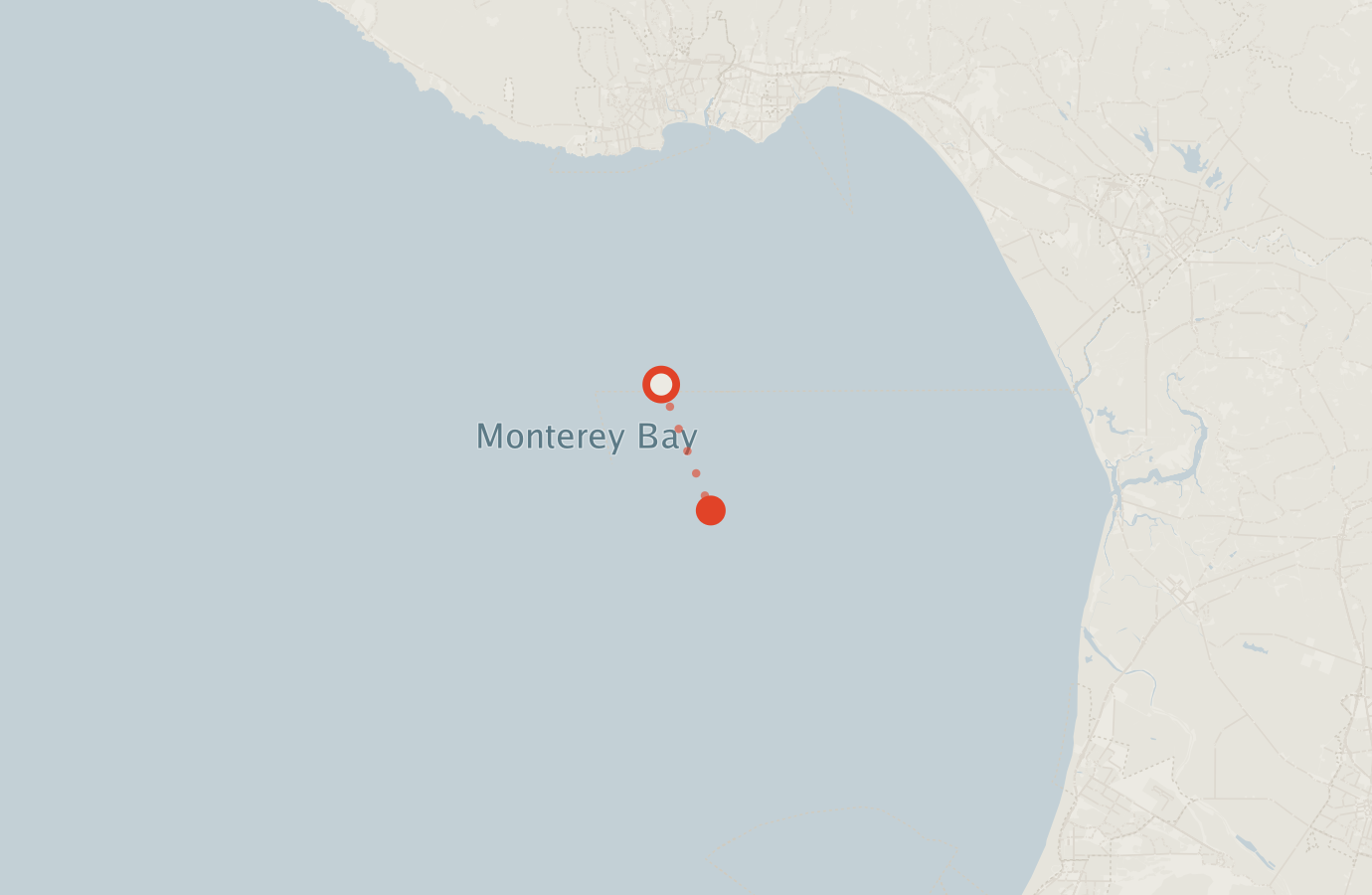 Activity map — real sighting points on an OpenStreetMap basemap