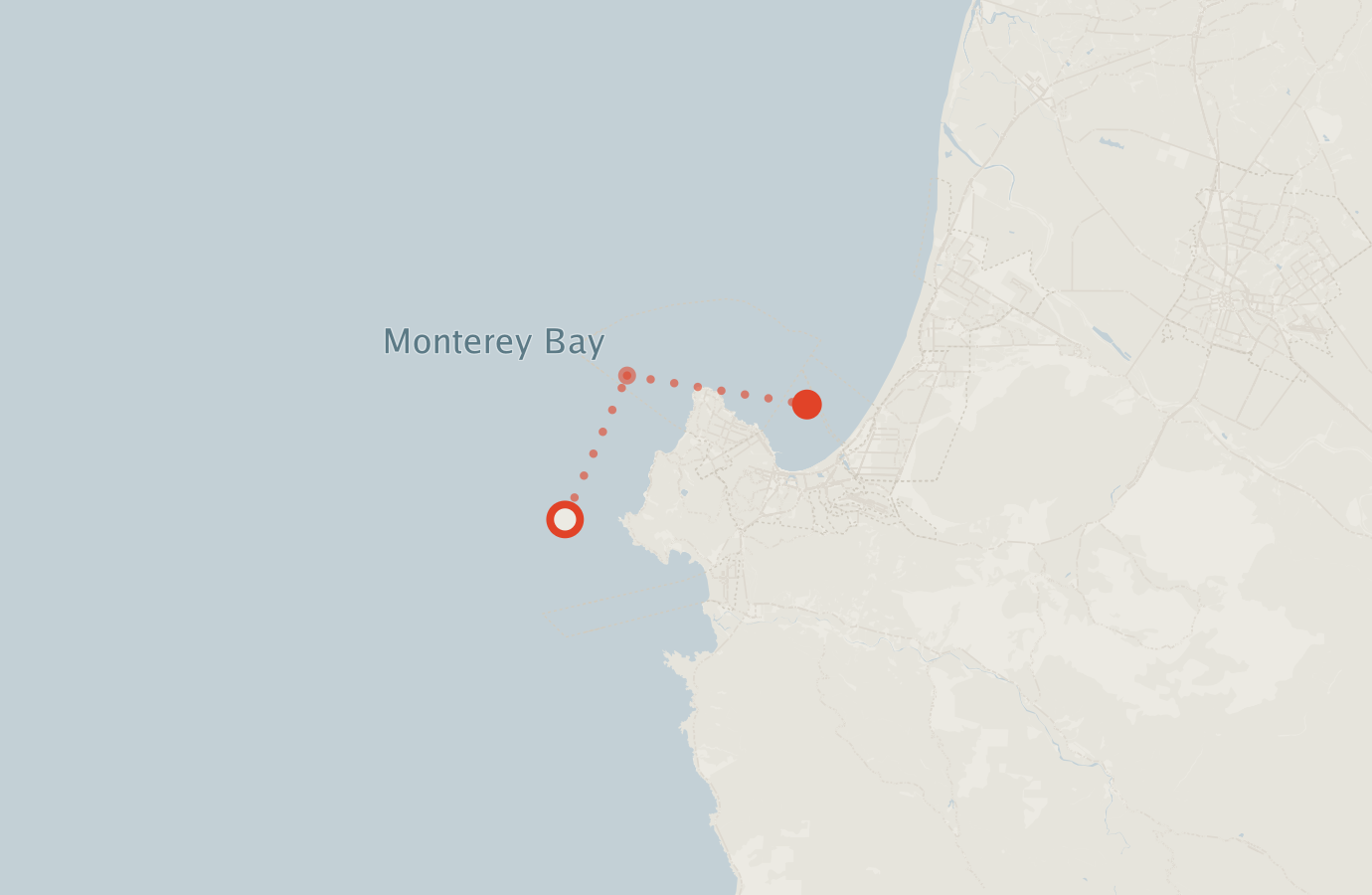Activity map — real sighting points on an OpenStreetMap basemap