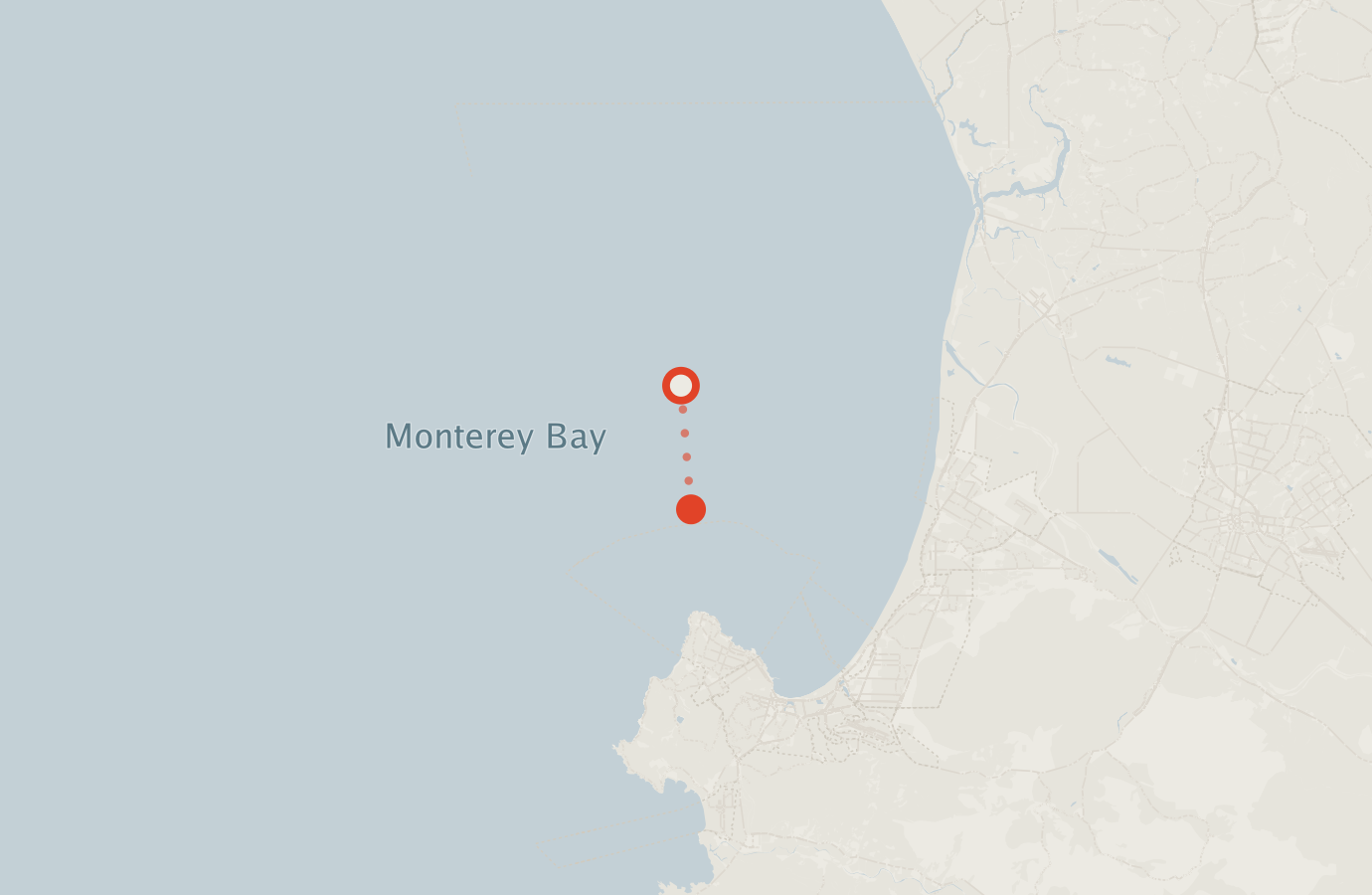Activity map — real sighting points on an OpenStreetMap basemap