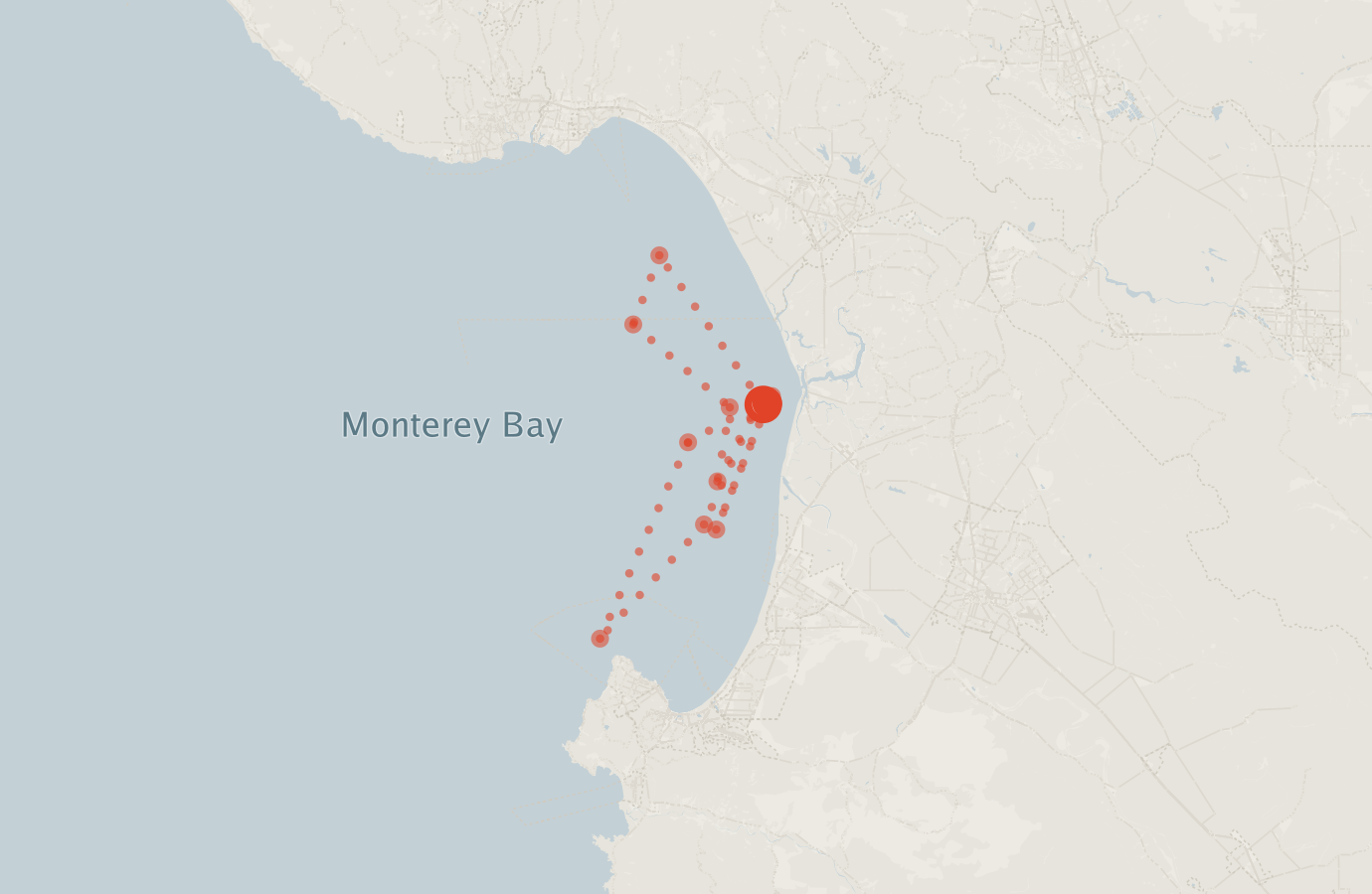 Activity map — real sighting points on an OpenStreetMap basemap