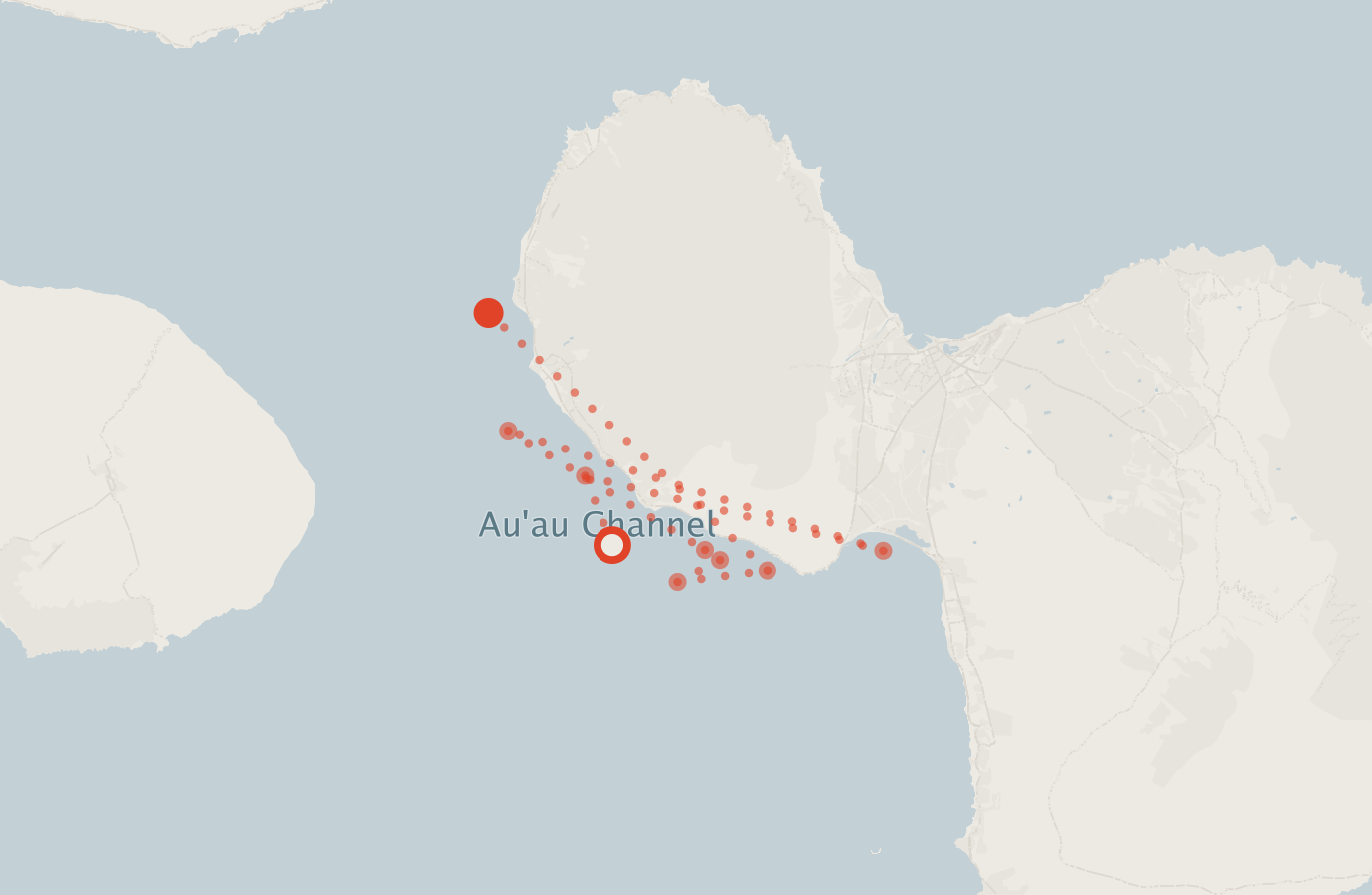 Activity map — real sighting points on an OpenStreetMap basemap