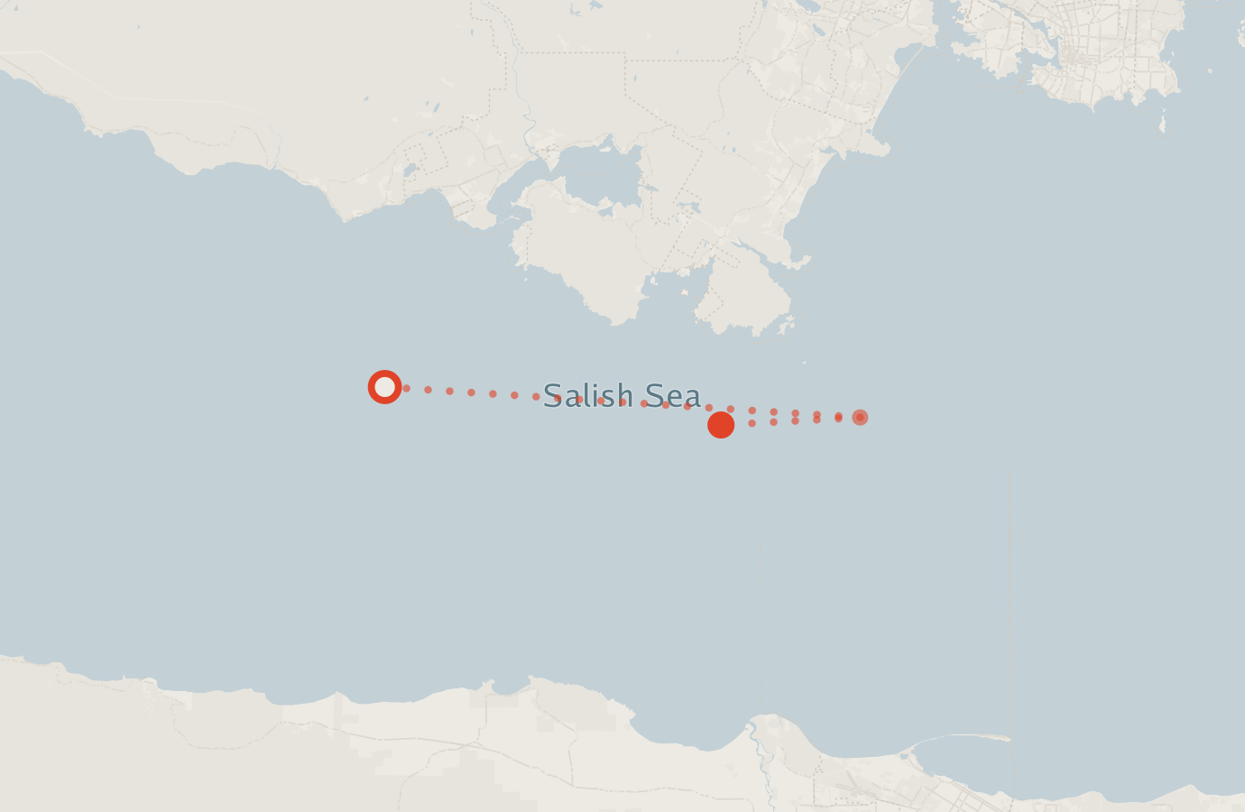 Activity map — real sighting points on an OpenStreetMap basemap