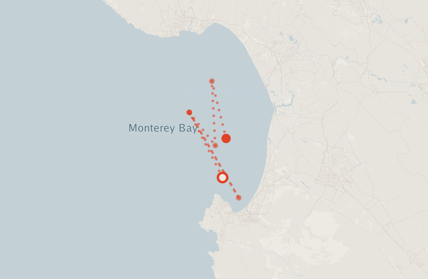 Activity map — real sighting points on an OpenStreetMap basemap