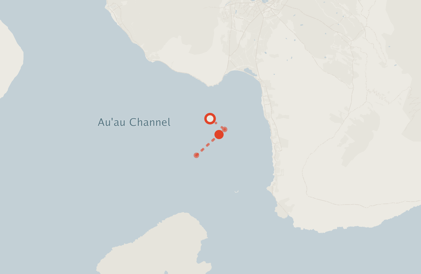 Activity map — real sighting points on an OpenStreetMap basemap