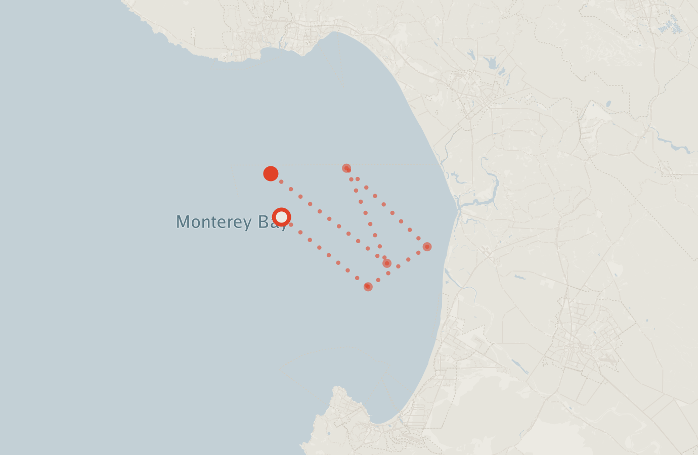 Activity map — real sighting points on an OpenStreetMap basemap