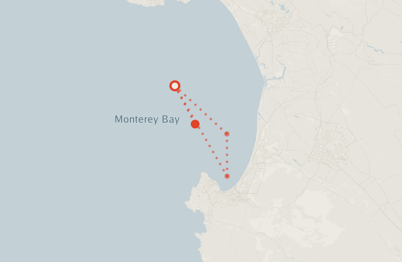 Activity map — real sighting points on an OpenStreetMap basemap