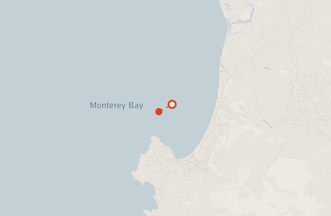Activity map — real sighting points on an OpenStreetMap basemap