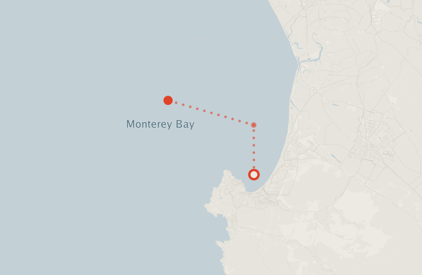 Activity map — real sighting points on an OpenStreetMap basemap