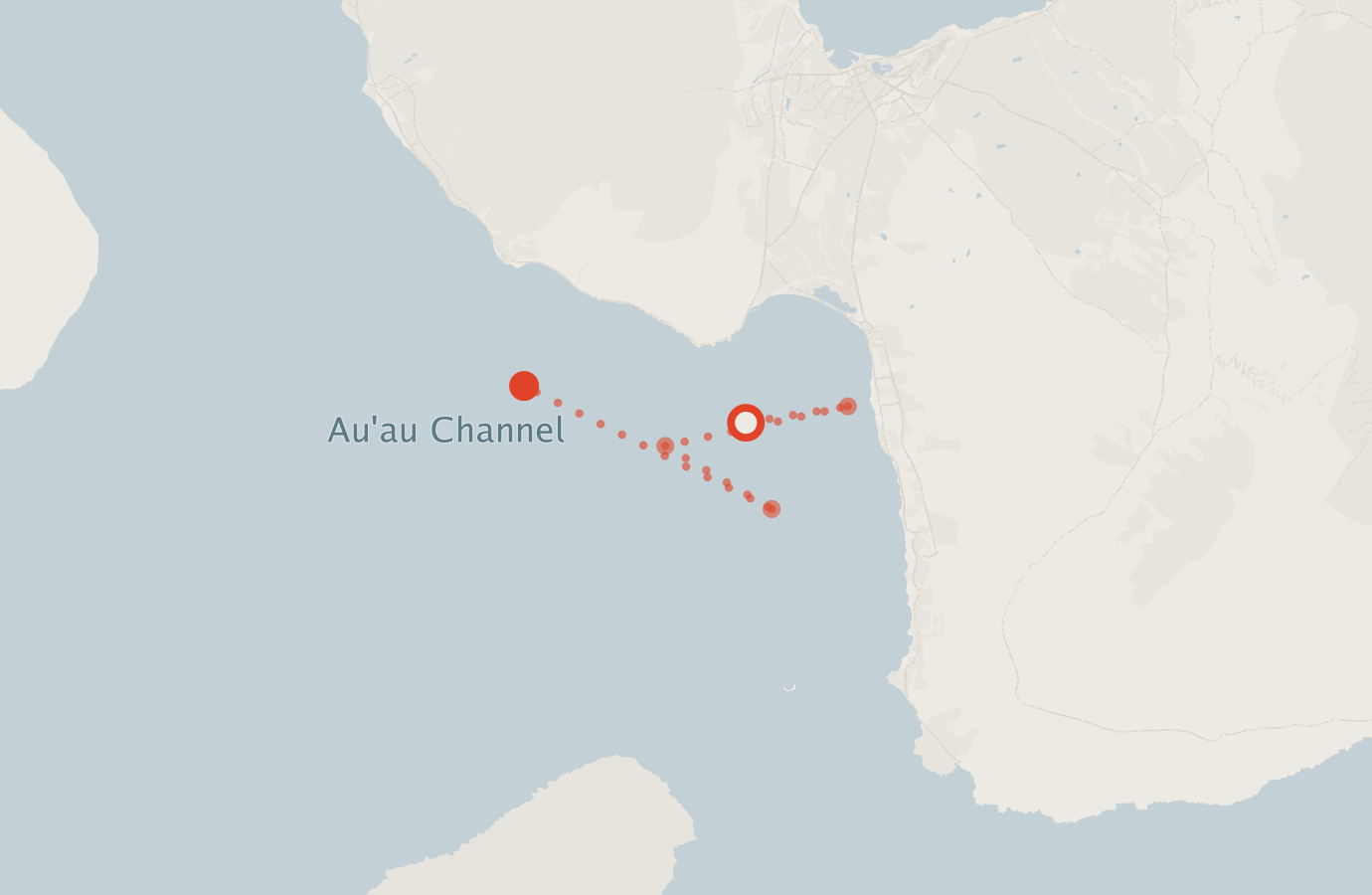 Activity map — real sighting points on an OpenStreetMap basemap