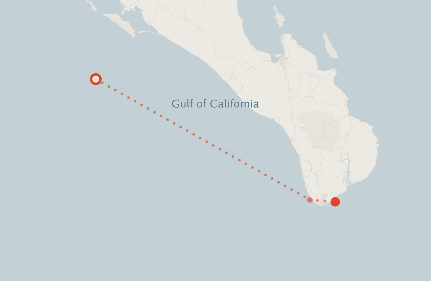 Activity map — real sighting points on an OpenStreetMap basemap