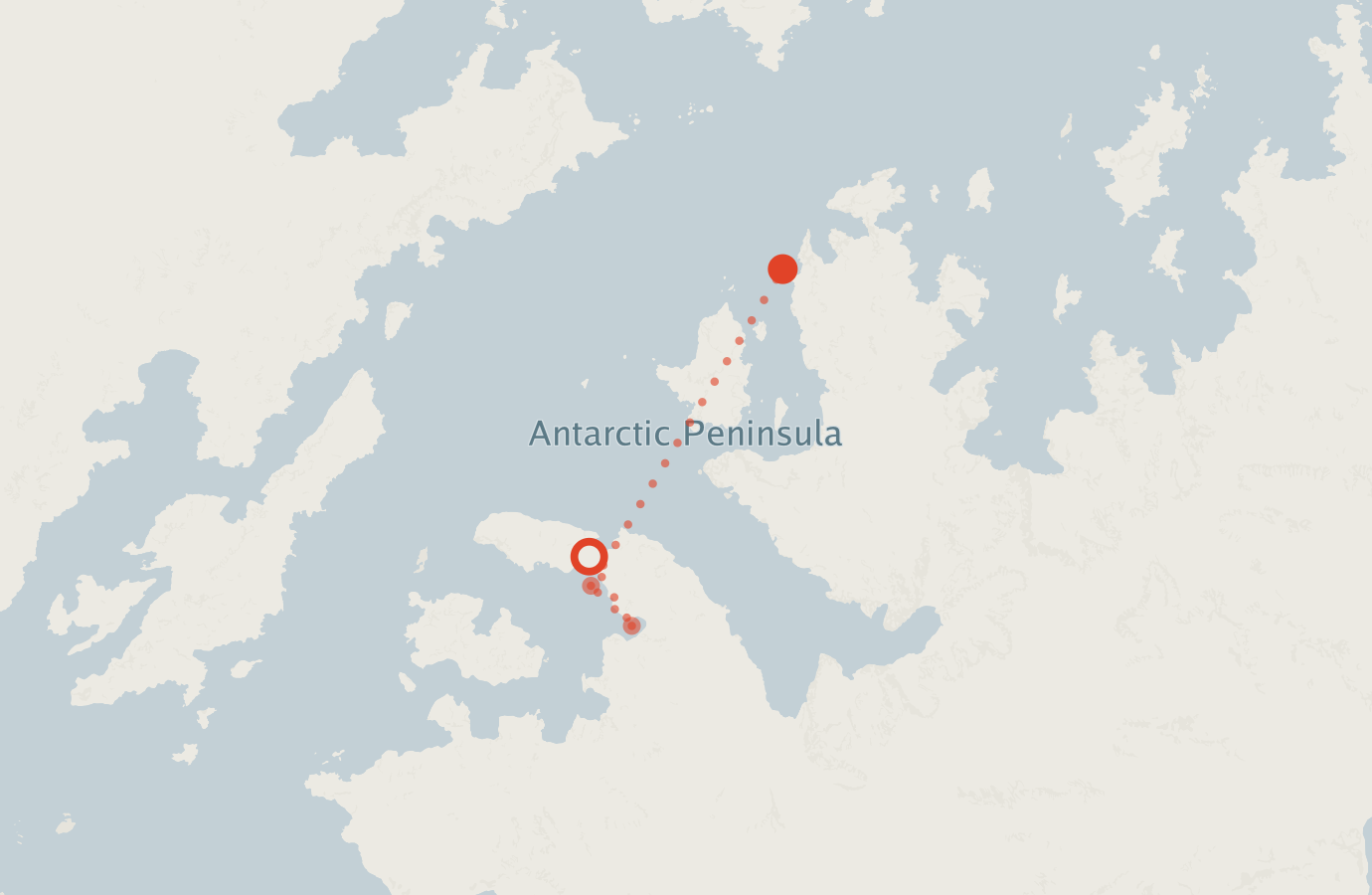 Activity map — real sighting points on an OpenStreetMap basemap