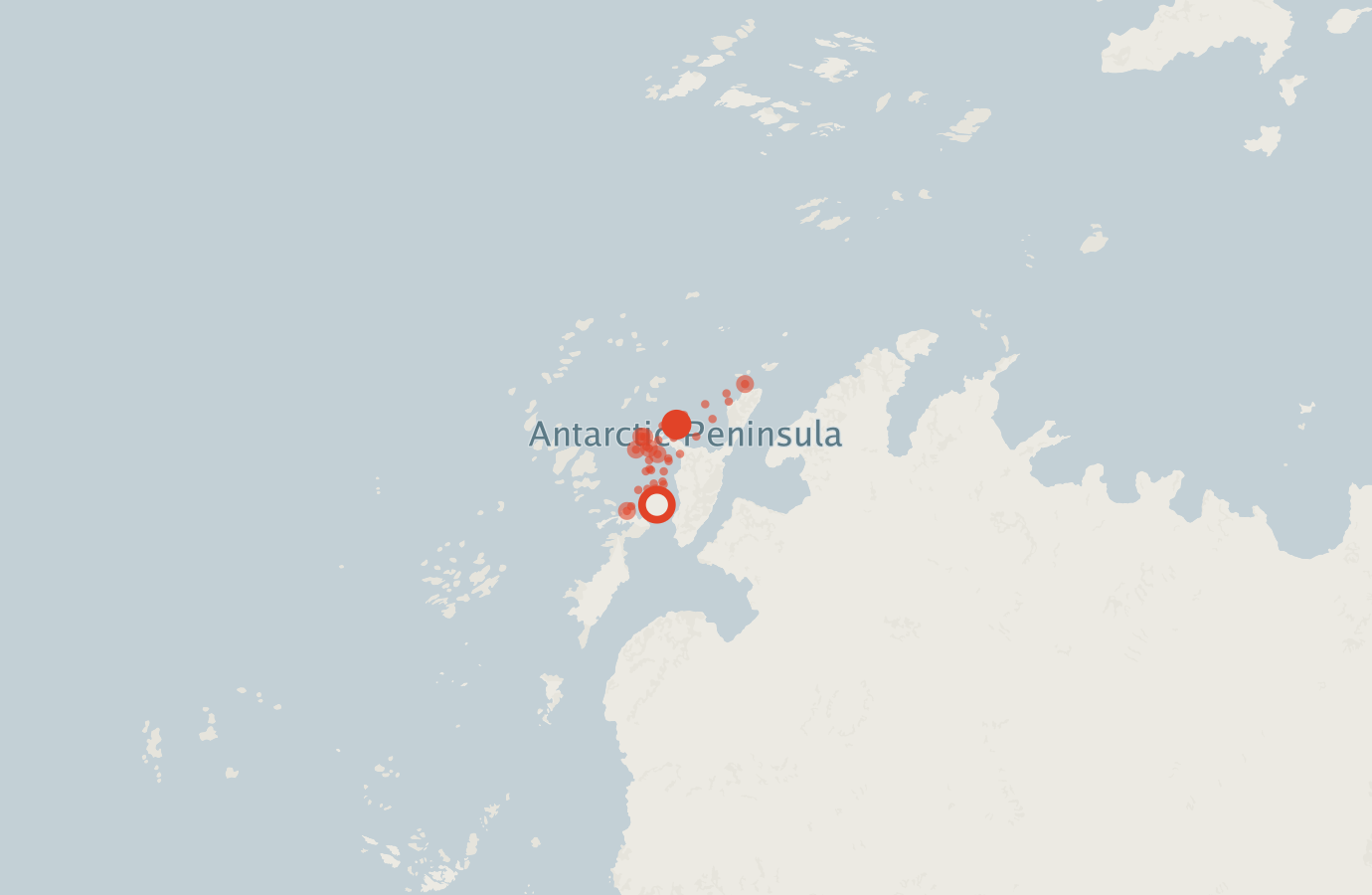 Activity map — real sighting points on an OpenStreetMap basemap