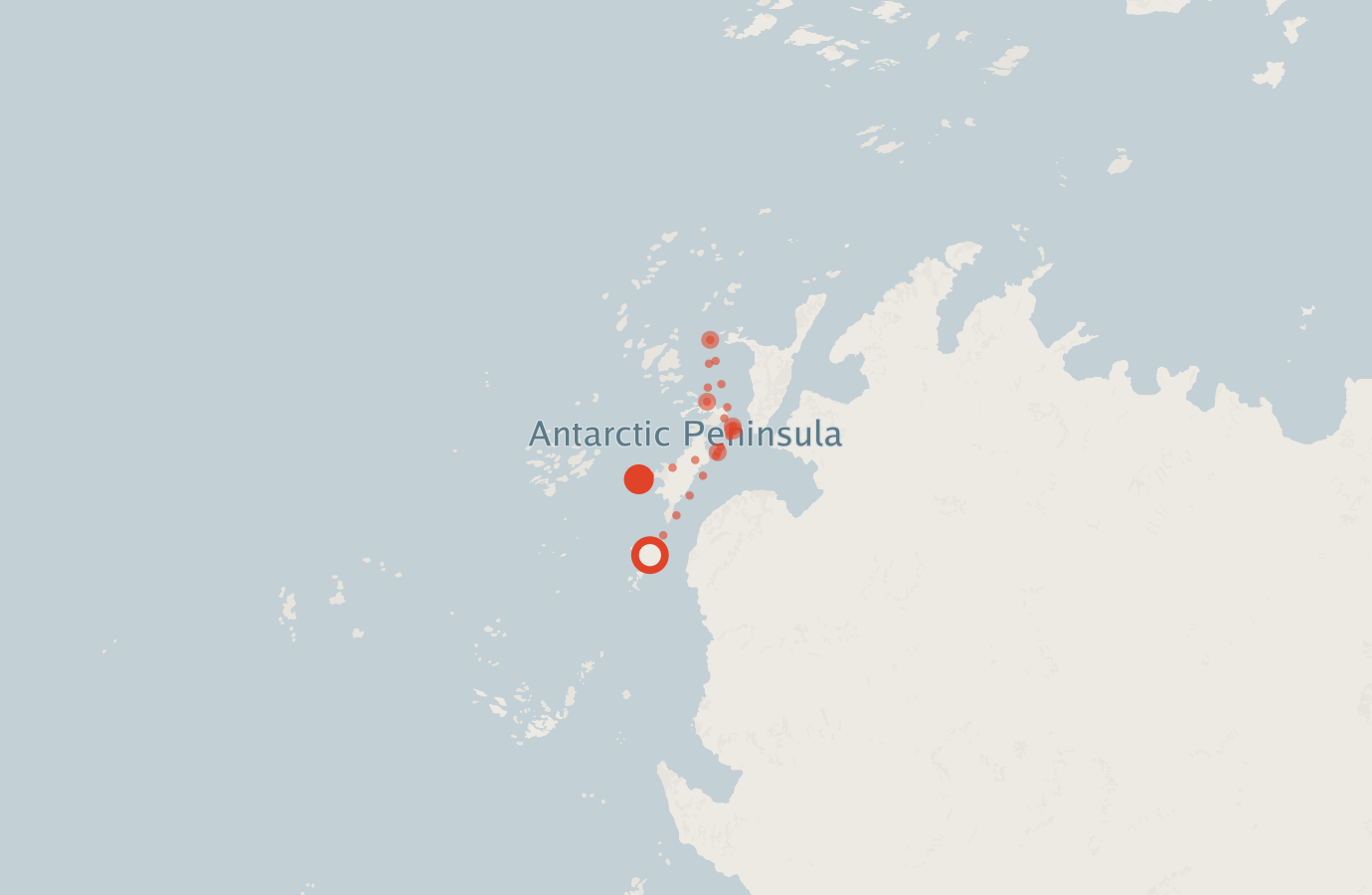 Activity map — real sighting points on an OpenStreetMap basemap