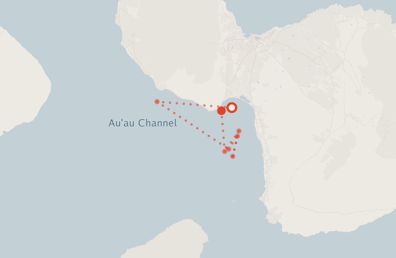 Activity map — real sighting points on an OpenStreetMap basemap