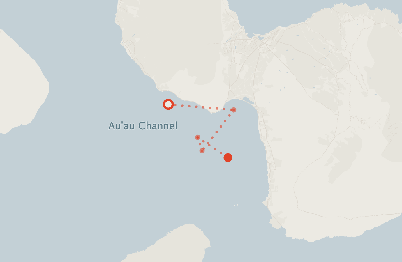 Activity map — real sighting points on an OpenStreetMap basemap