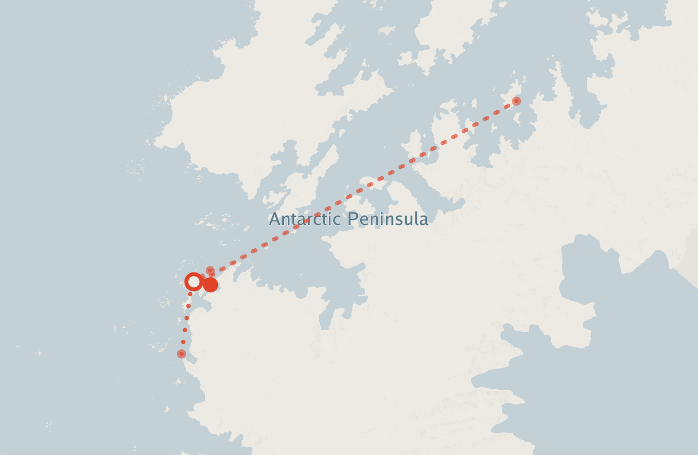 Activity map — real sighting points on an OpenStreetMap basemap