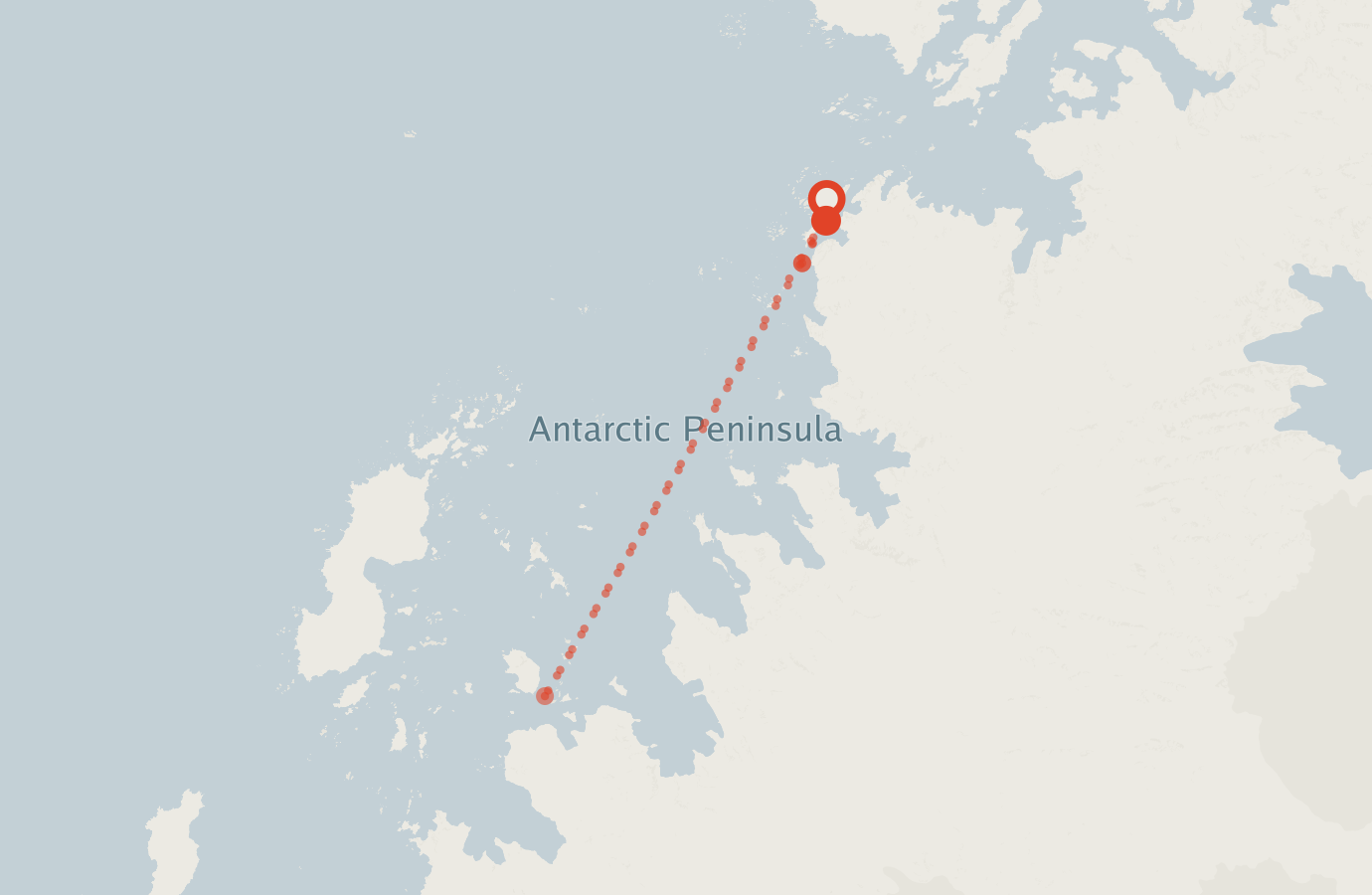 Activity map — real sighting points on an OpenStreetMap basemap