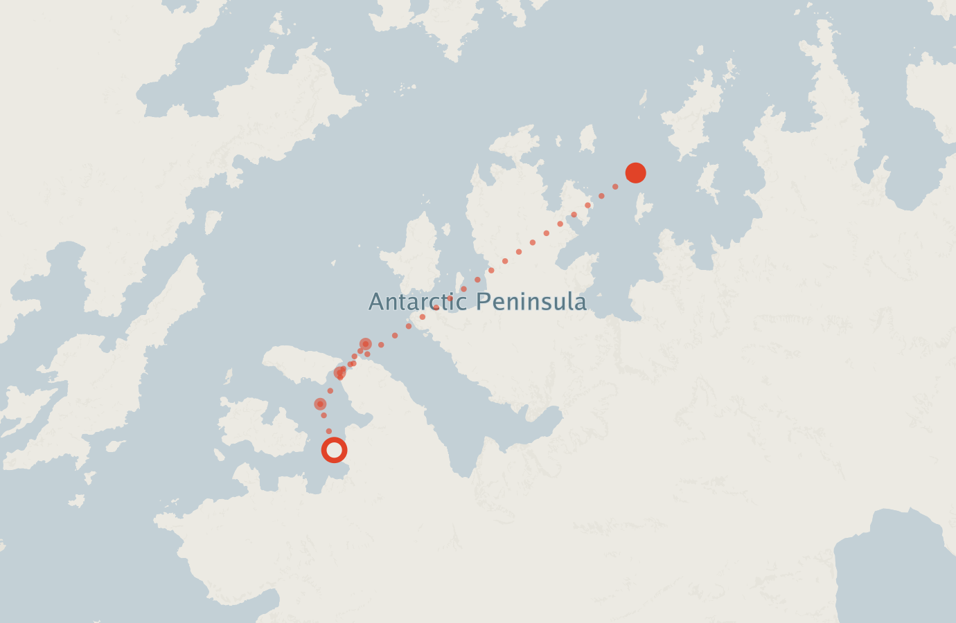 Activity map — real sighting points on an OpenStreetMap basemap