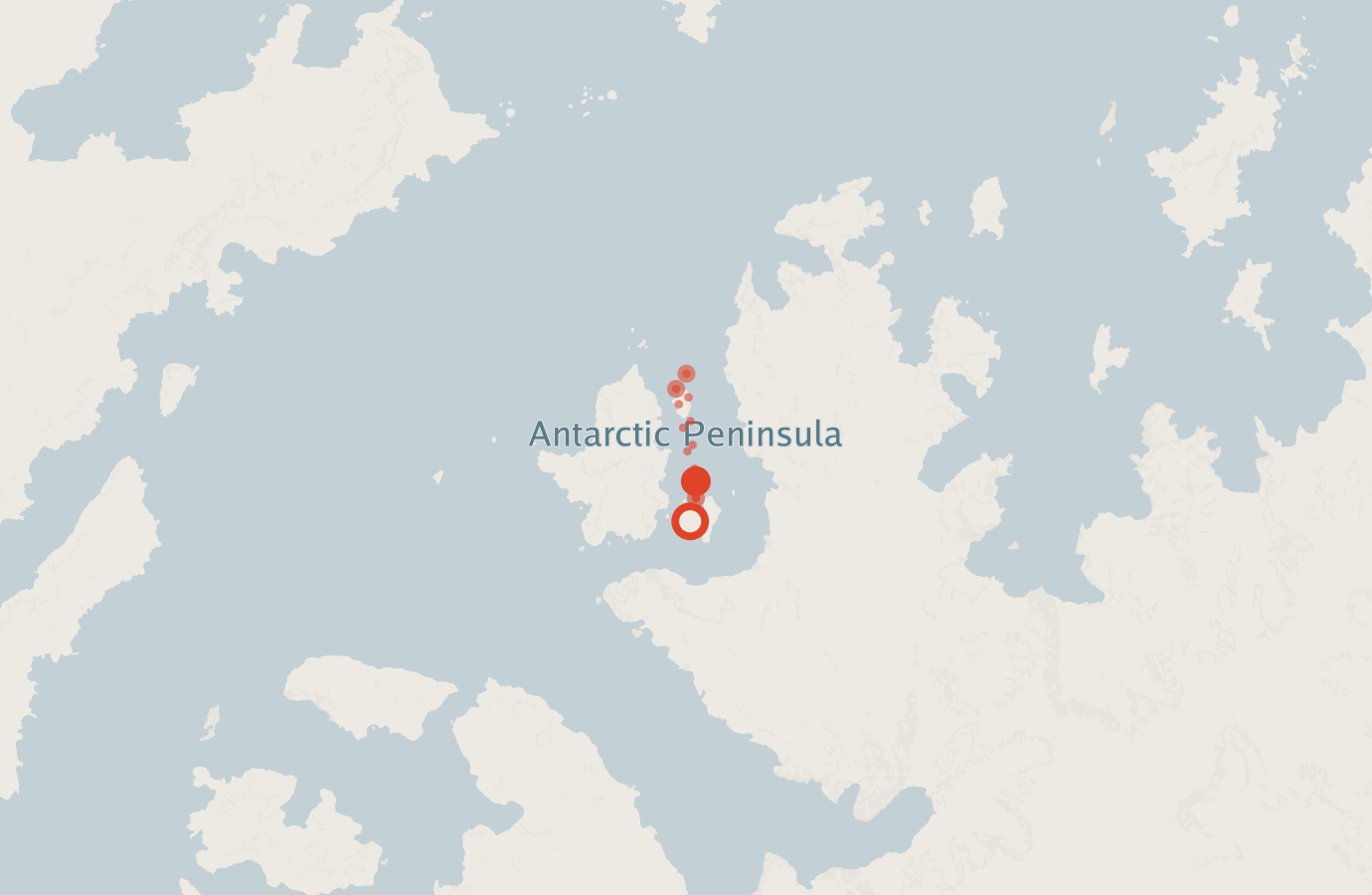 Activity map — real sighting points on an OpenStreetMap basemap