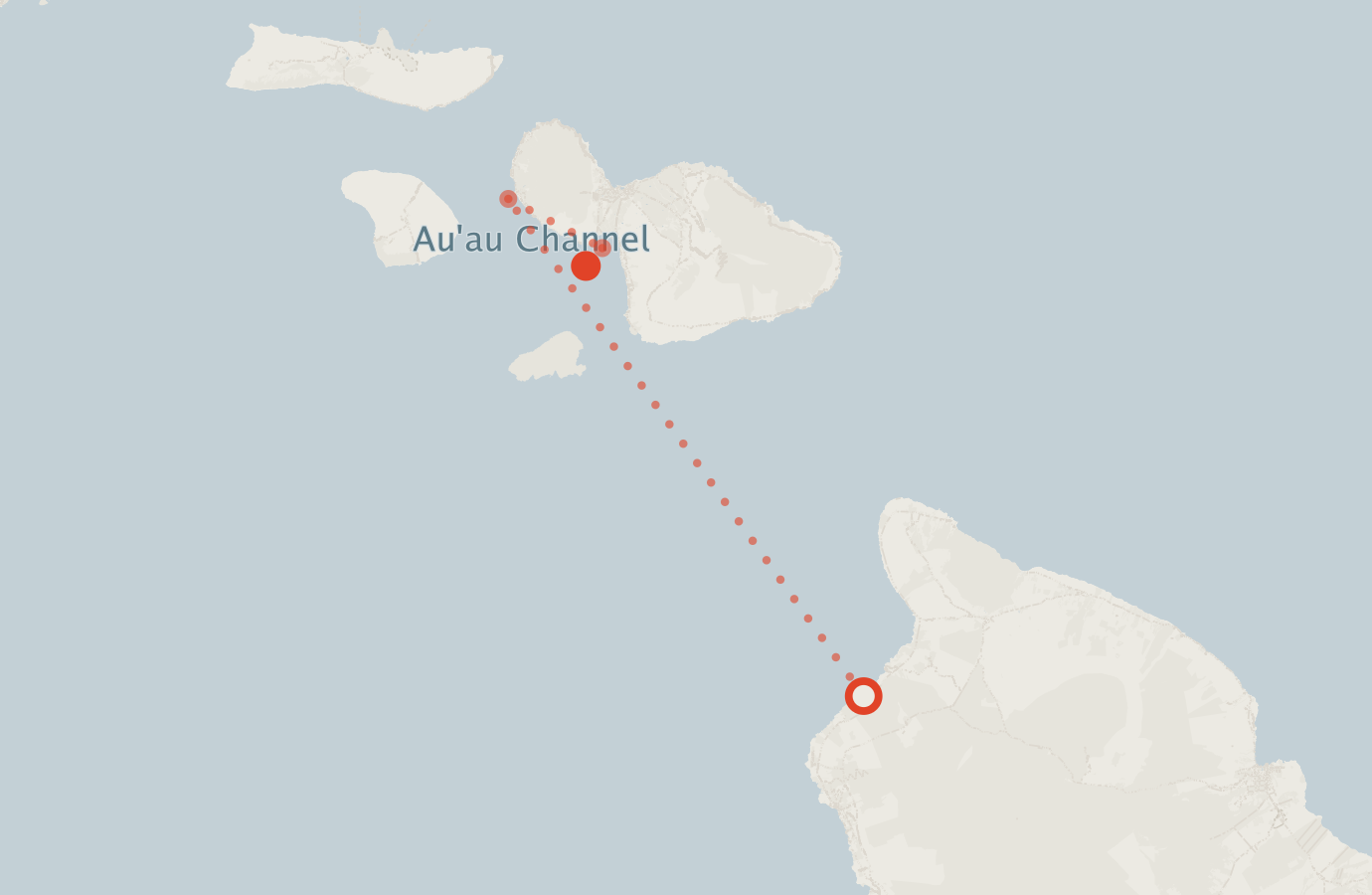 Activity map — real sighting points on an OpenStreetMap basemap