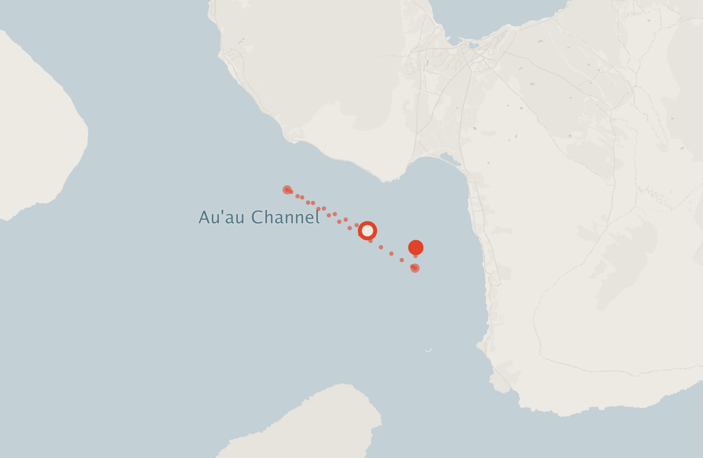 Activity map — real sighting points on an OpenStreetMap basemap