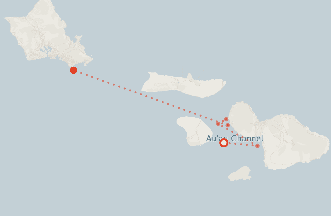 Activity map — real sighting points on an OpenStreetMap basemap