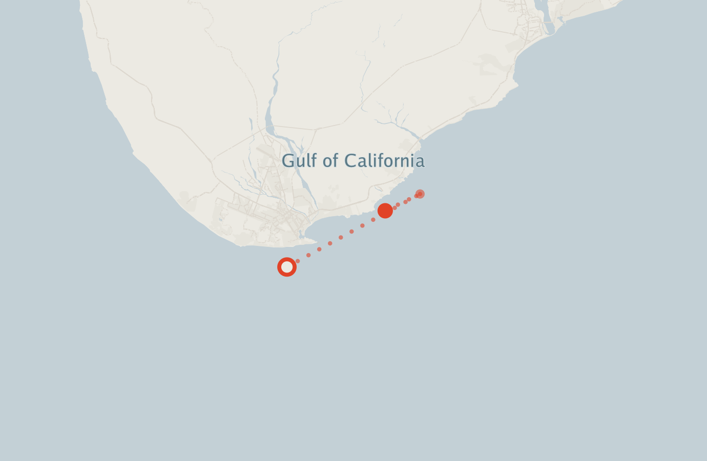 Activity map — real sighting points on an OpenStreetMap basemap