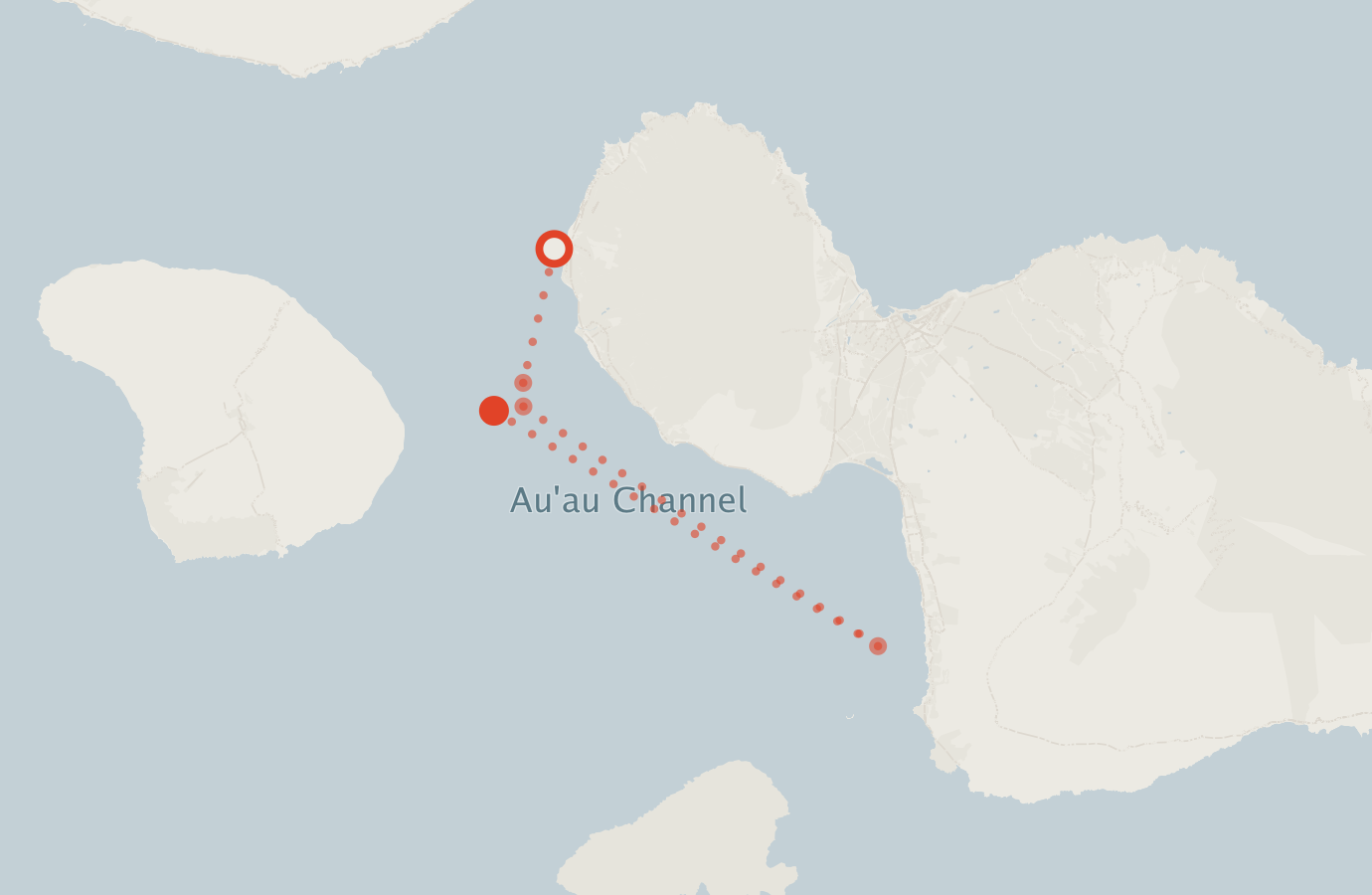 Activity map — real sighting points on an OpenStreetMap basemap