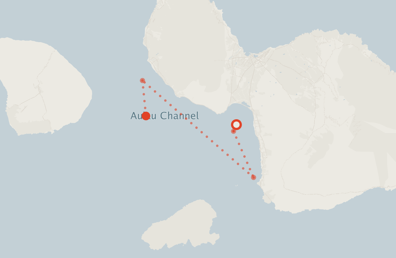 Activity map — real sighting points on an OpenStreetMap basemap