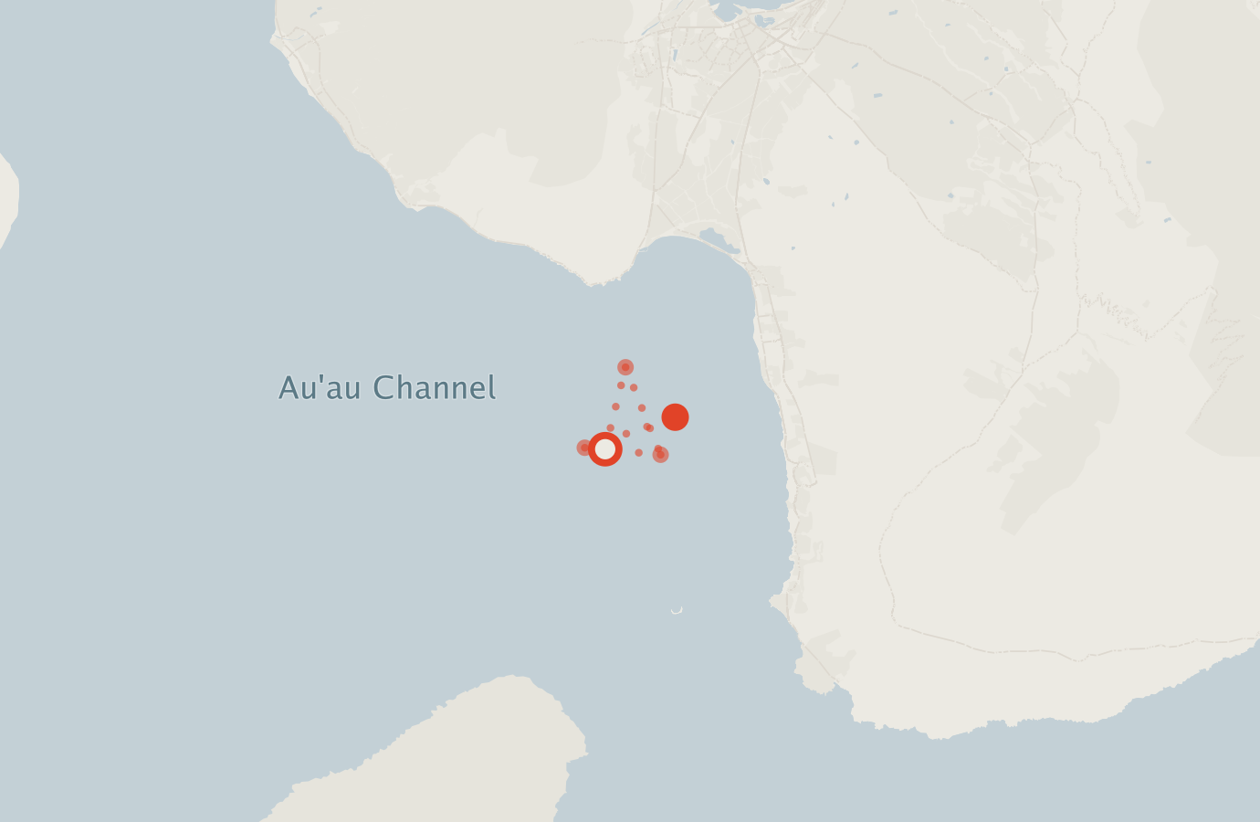 Activity map — real sighting points on an OpenStreetMap basemap