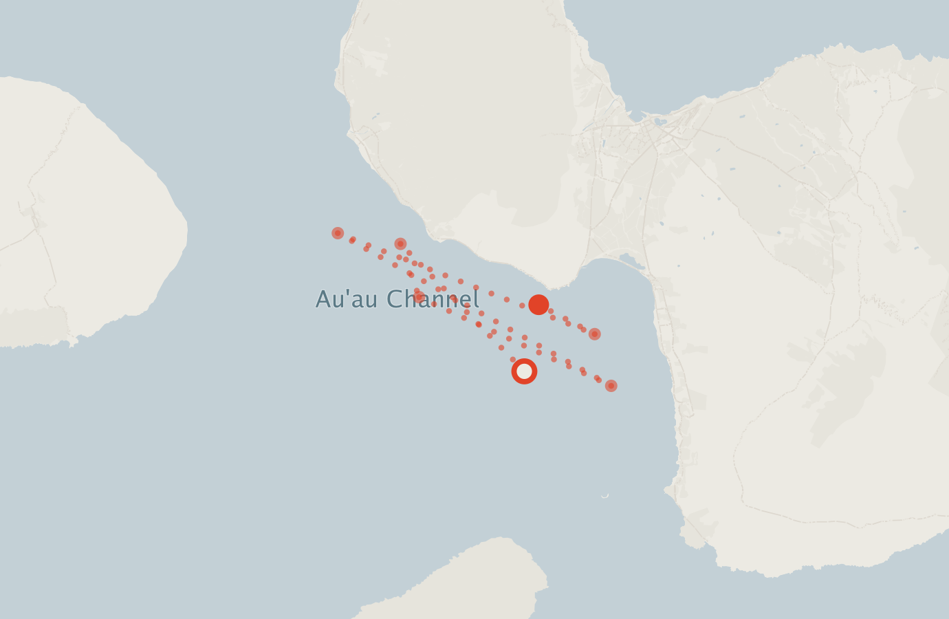Activity map — real sighting points on an OpenStreetMap basemap