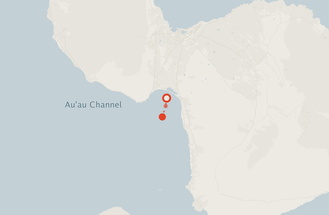 Activity map — real sighting points on an OpenStreetMap basemap