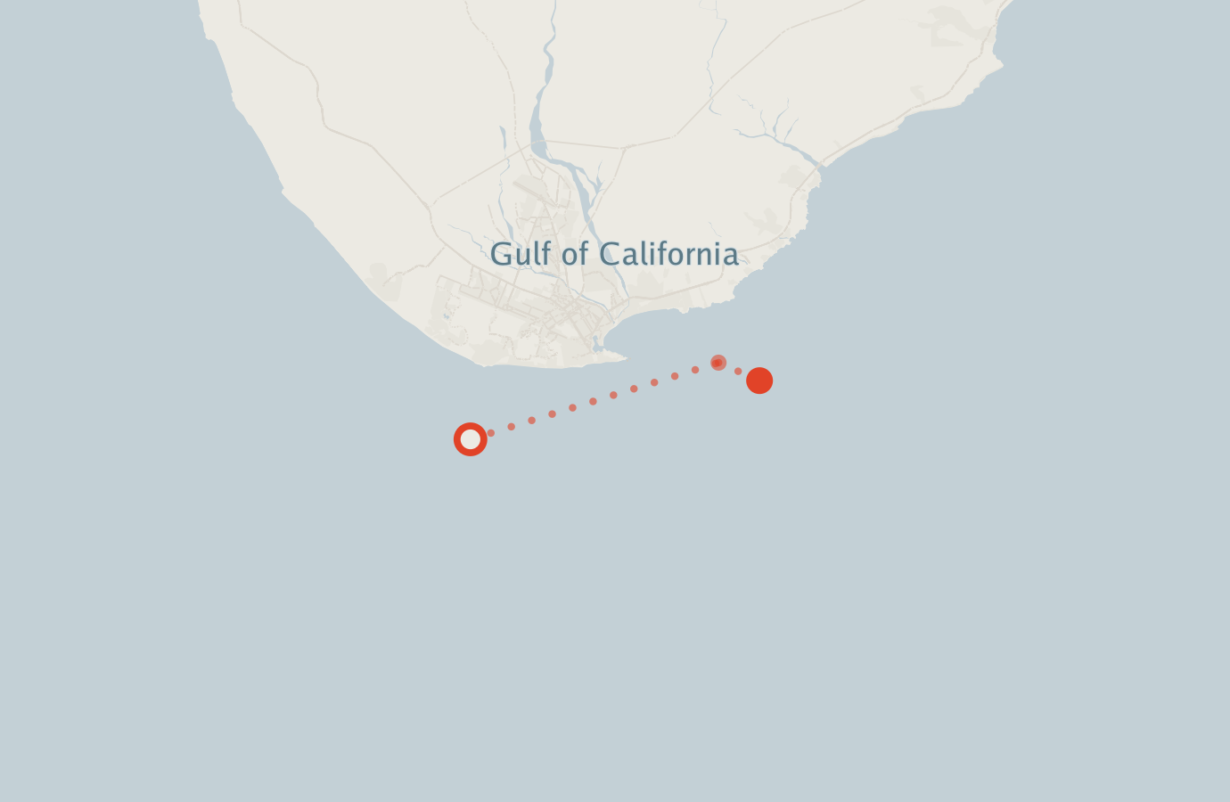 Activity map — real sighting points on an OpenStreetMap basemap