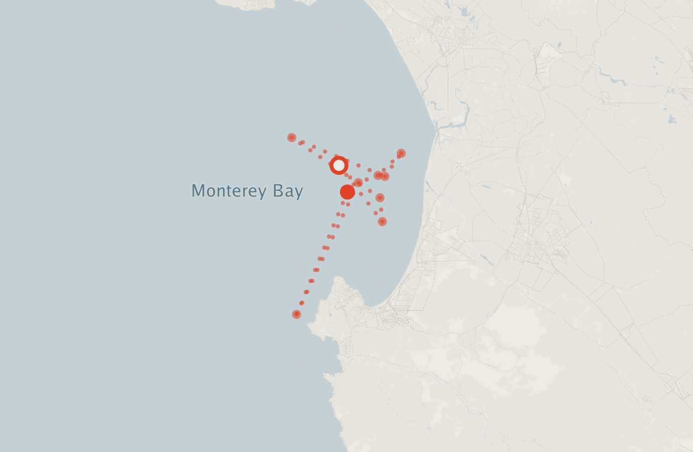 Activity map — real sighting points on an OpenStreetMap basemap