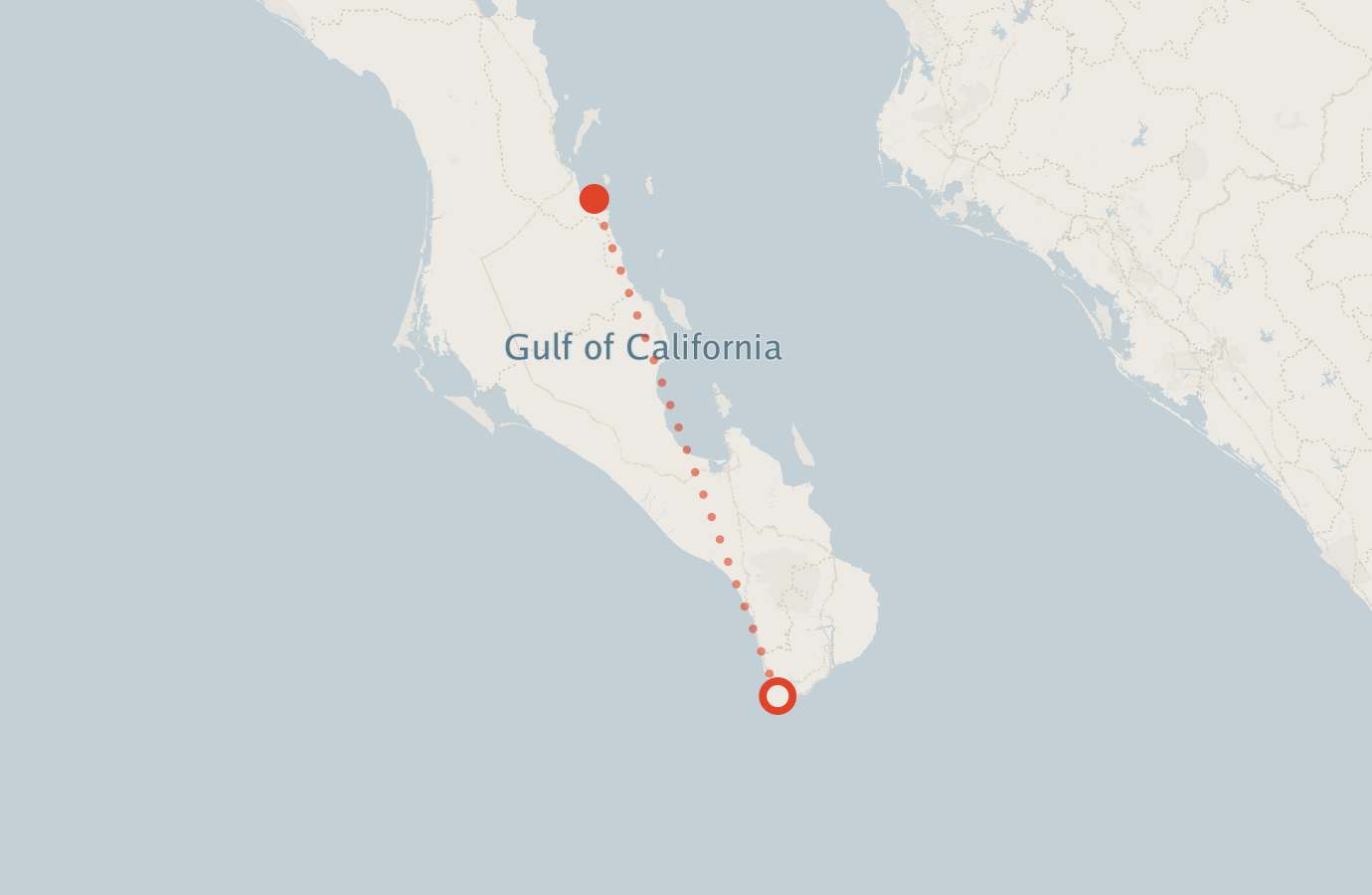 Activity map — real sighting points on an OpenStreetMap basemap
