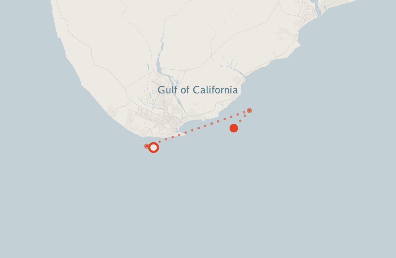 Activity map — real sighting points on an OpenStreetMap basemap